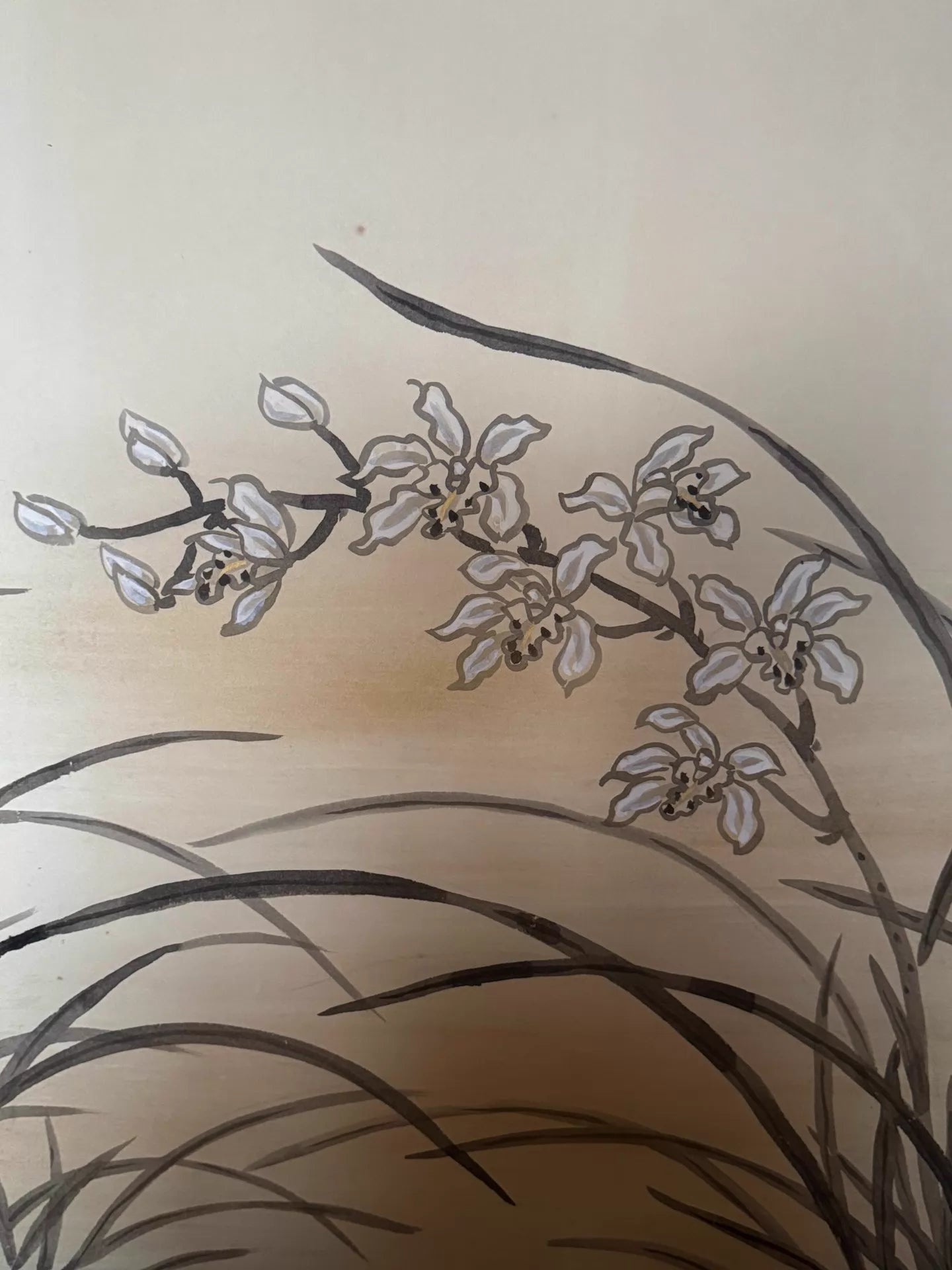 Orchid