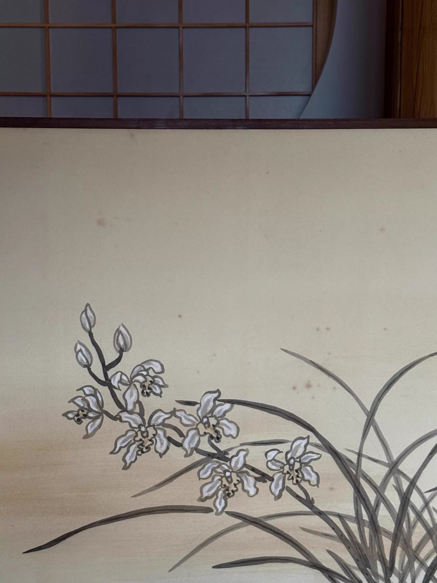 Orchid