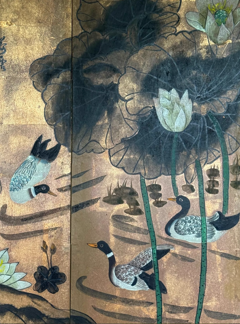 Lotus Pond