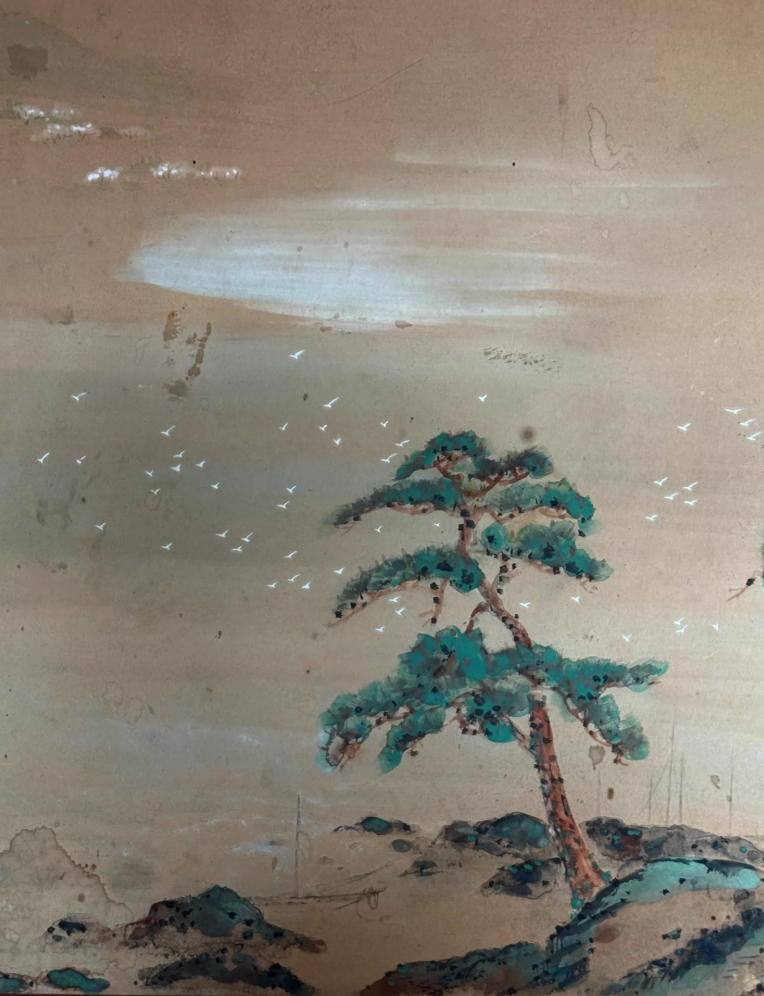 Blossom and Pine